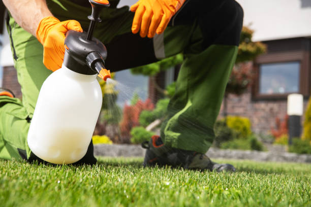 Best Pest Inspection Near Me  in Salem Heights, OH