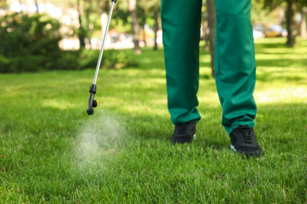 Best Pest Prevention Services  in Salem Heights, OH