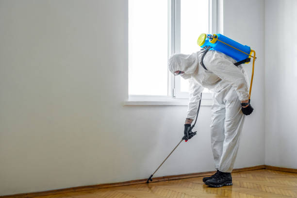 Best Local Pest Control Services  in Salem Heights, OH